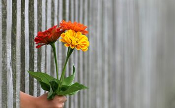 Ile metrów ogrodzenia na 10 arów?