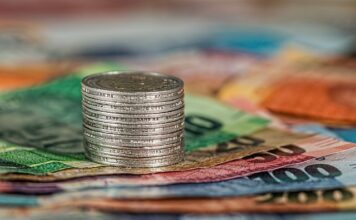 Jaki jest koszt projektu ogrodu?