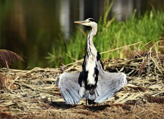 Gdzie suszyć ręczniki po kąpieli?