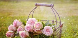 Jakie są kosze do segregacji śmieci?