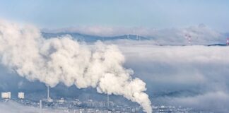 Czego nie można wrzucać do odpadów zmieszanych?