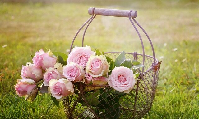 Do czego służy kosz Mojżesza?