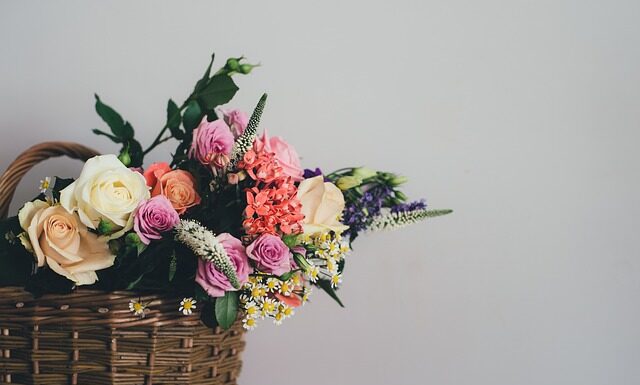 Jaka wiklina na koszyki? Jaka wiklina na koszyki?