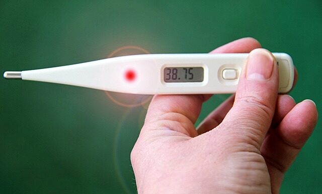Jak sprawdzić numer koszyka na Allegro? Jak sprawdzić numer koszyka na Allegro?