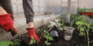 Co to za firma Garden?