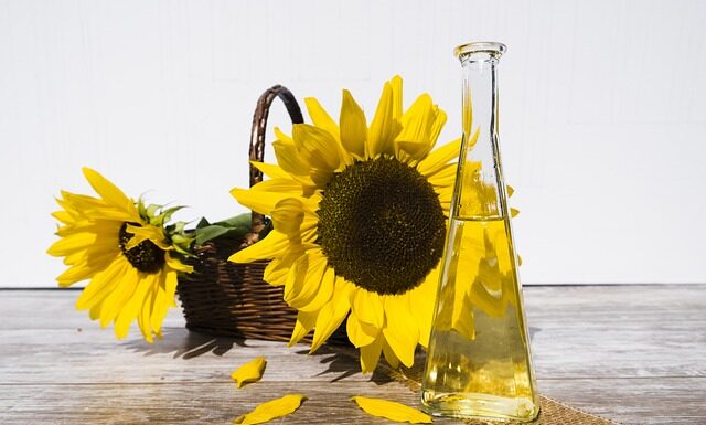 Prasa do oleju – niezbędnik w każdym domu Prasa do oleju